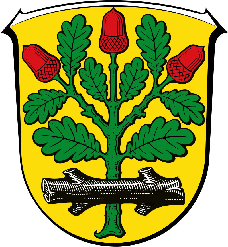 DEU_Langen_Hessen_COA.svg.960x0-aspect.png