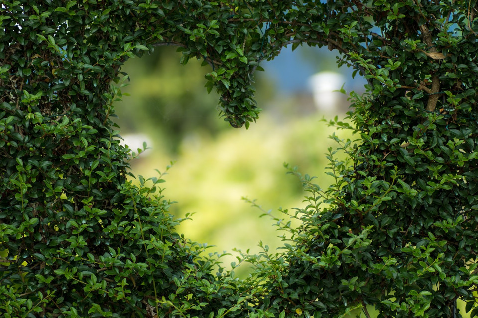 heart-1192662_1280.960x0-aspect.jpg
